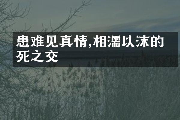 患难见真情,相濡以沫的生死之交