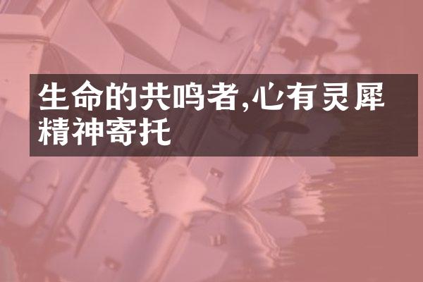 生命的共鸣者,心有灵犀的精神寄托