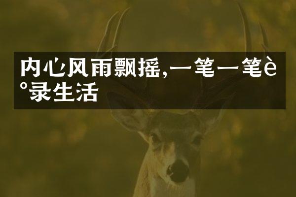 内心风雨飘摇,一笔一笔记录生活