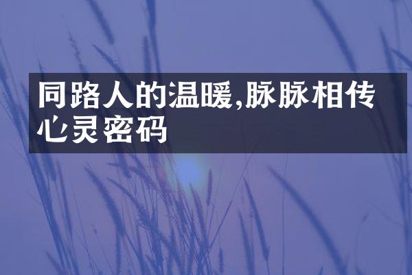 同路人的温暖,脉脉相传的心灵密码