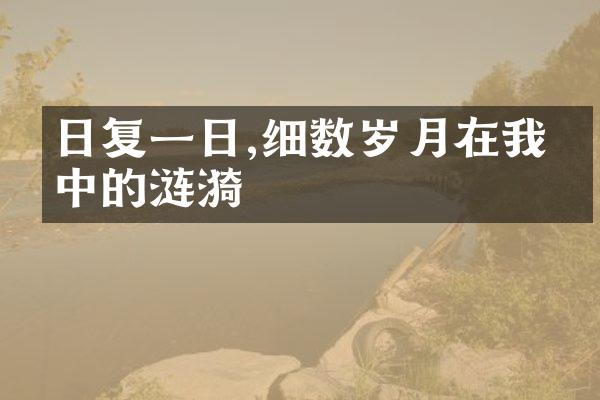 日复一日,细数岁月在我心中的涟漪
