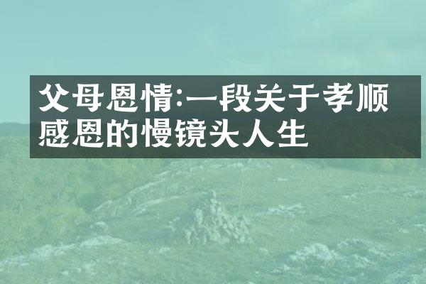 父母恩情:一段关于孝顺与感恩的慢镜头人生
