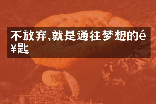 不放弃,就是通往梦想的钥匙