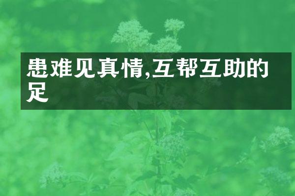 患难见真情,互帮互助的手足