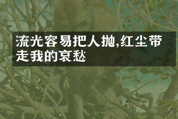 流光容易把人抛,红尘带不走我的哀愁
