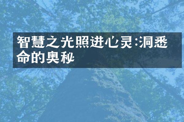 智慧之光照进心灵:洞悉生命的奥秘