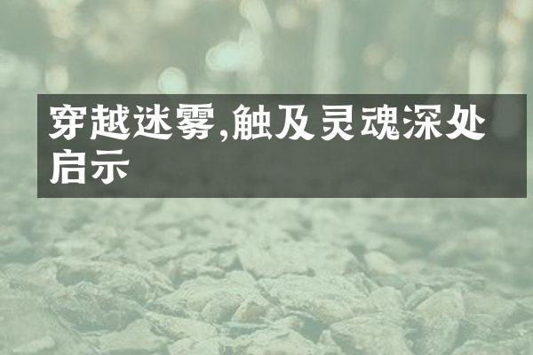 穿越迷雾,触及灵魂深处的启示