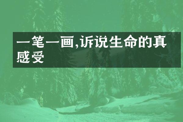 一笔一画,诉说生命的真挚感受
