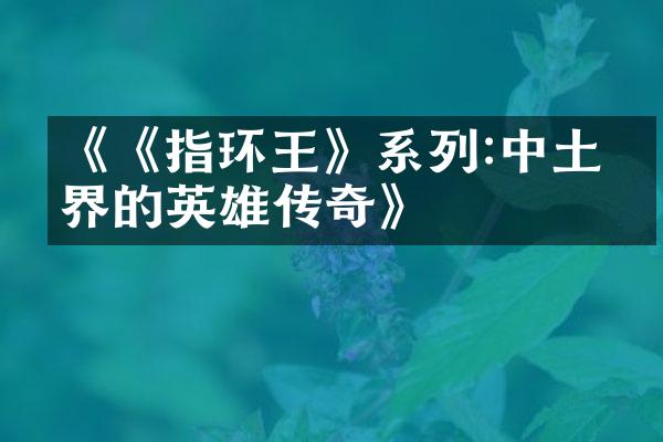 《《指环王》系列:中土世界的英雄传奇》