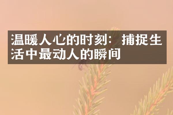 温暖人心的时刻：捕捉生活中最动人的瞬间