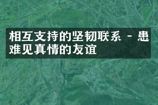 相互支持的坚韧联系 - 患难见真情的友谊