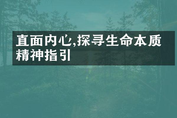 直面内心,探寻生命本质的精神指引