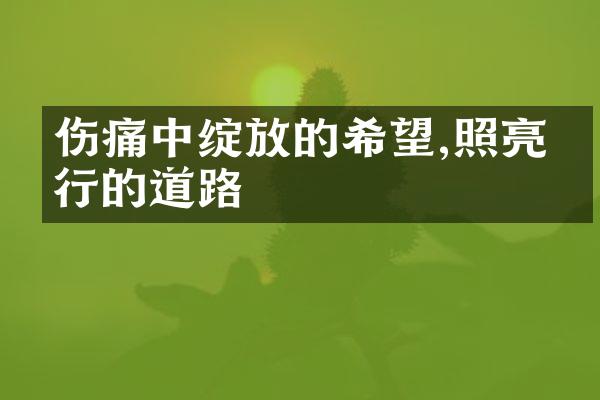 伤痛中绽放的希望,照亮前行的道路