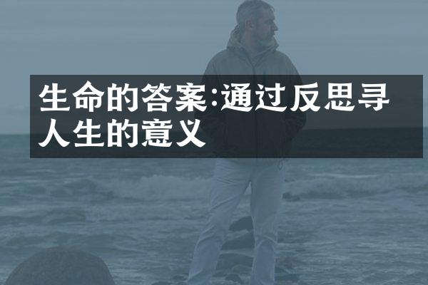 生命的答案:通过反思寻找人生的意义