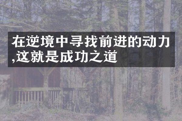 在逆境中寻找前进的动力,这就是成功之道