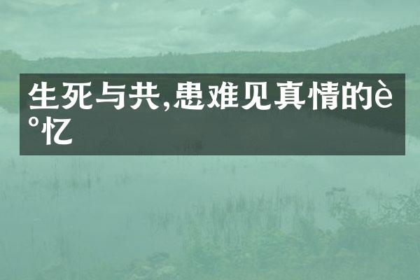 生死与共,患难见真情的记忆