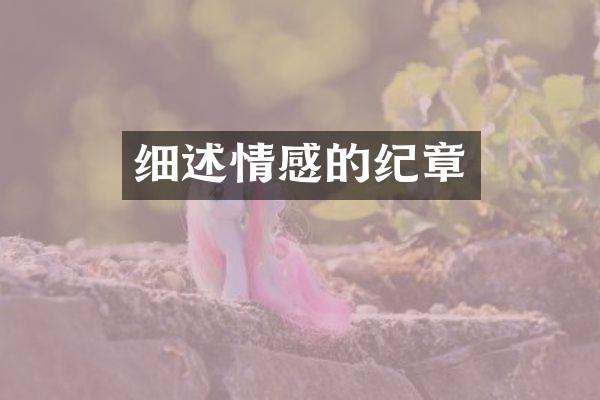 细述情感的纪章