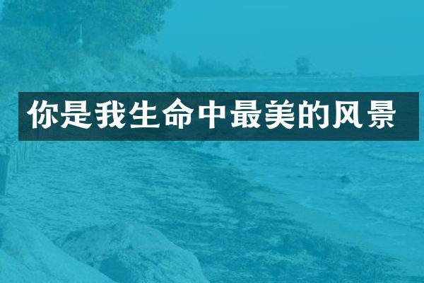 你是我生命中最美的风景