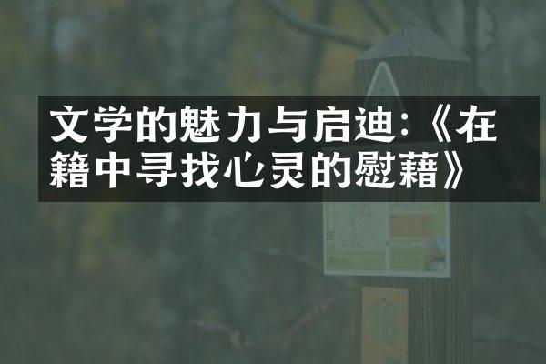 文学的魅力与启迪:《在书籍中寻找心灵的慰藉》