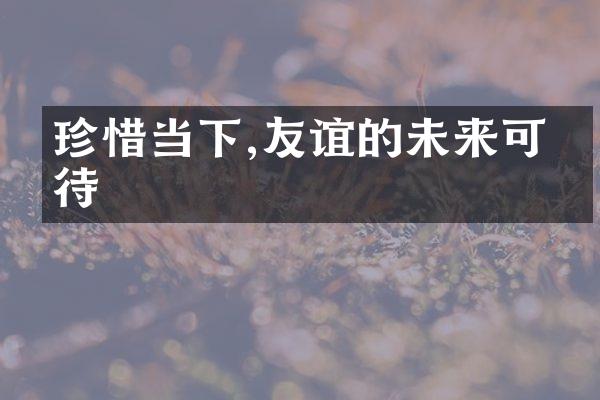 珍惜当下,友谊的未来可期待
