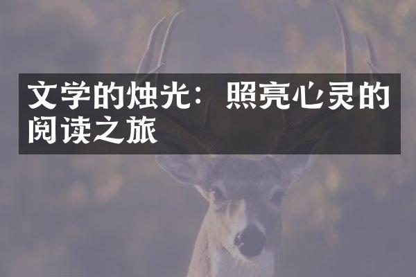 文学的烛光：照亮心灵的阅读之旅