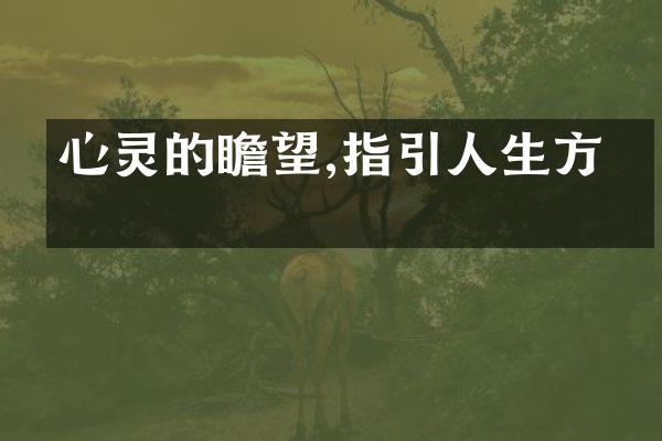 心灵的瞻望,指引人生方向