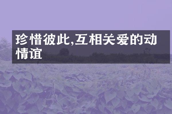珍惜彼此,互相关爱的动人情谊