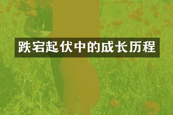 跌宕起伏中的成长