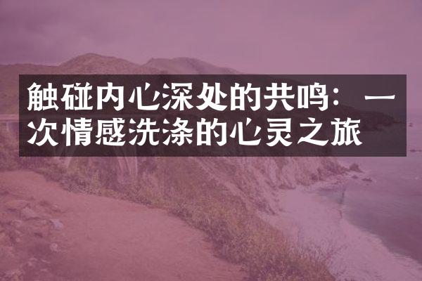 触碰内心深处的共鸣：一次情感洗涤的心灵之旅