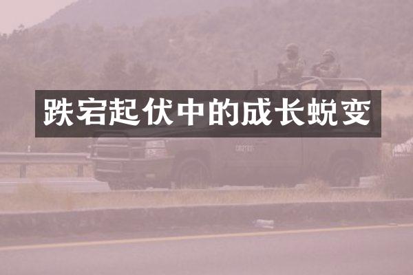 跌宕起伏中的成长蜕变