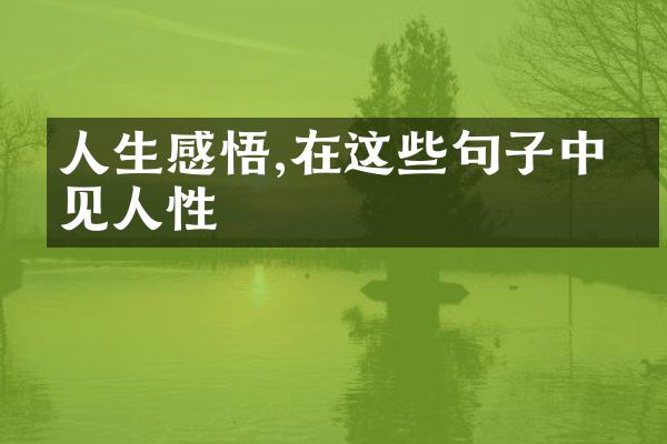 人生感悟,在这些句子中洞见人性
