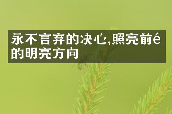 永不言弃的决心,照亮前途的明亮方向