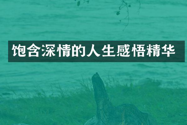 饱含深情的人生感悟精华