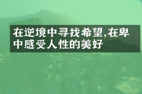在逆境中寻找希望,在卑微中感受人性的美好