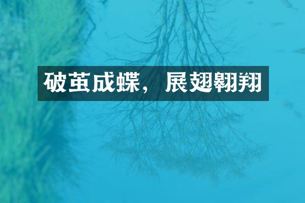 破茧成蝶，展翅翱翔