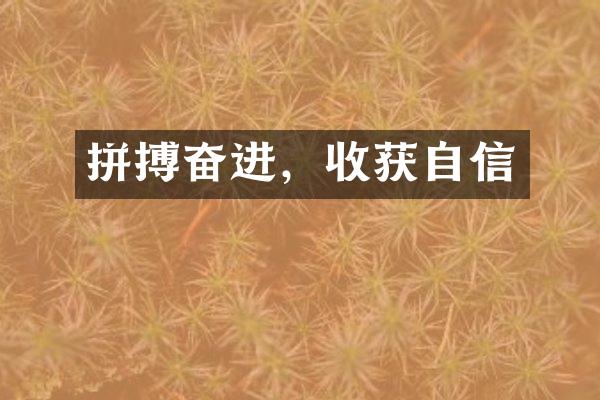 拼搏奋进，收获自信