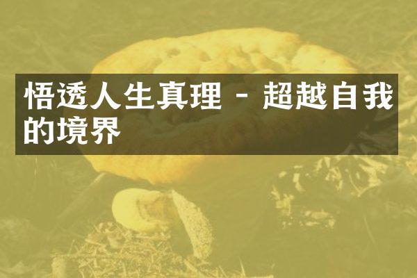 悟透人生真理 - 超越自我的境界