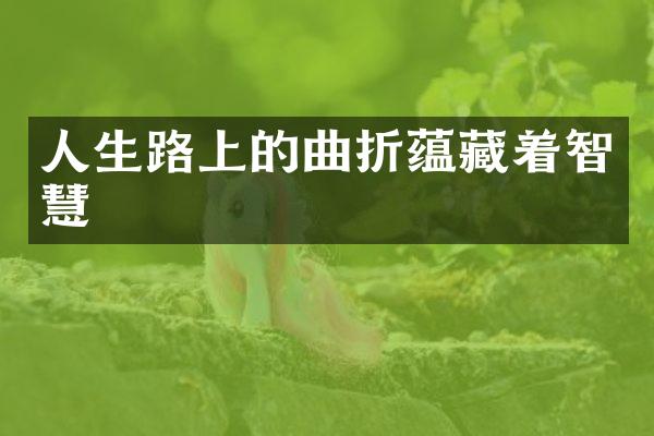 人生路上的曲折蕴藏着智慧