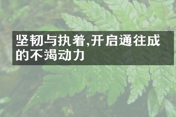 坚韧与执着,开启通往成功的不竭动力