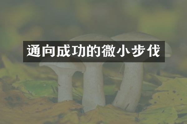 通向成功的微小步伐