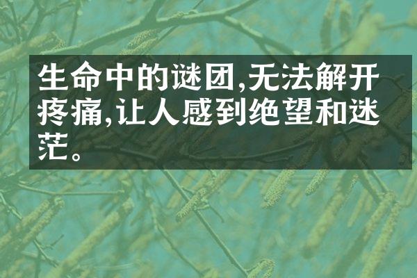 生命中的谜团,无法解开的疼痛,让人感到绝望和迷茫。