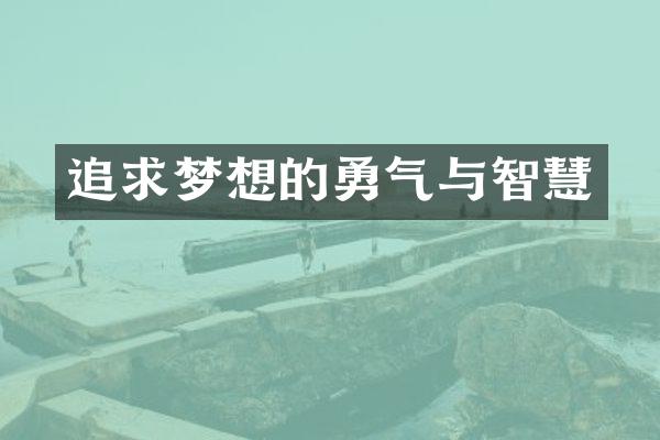 追求梦想的勇气与智慧