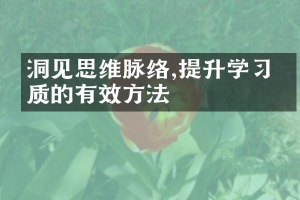 洞见思维脉络,提升学品质的有效方法