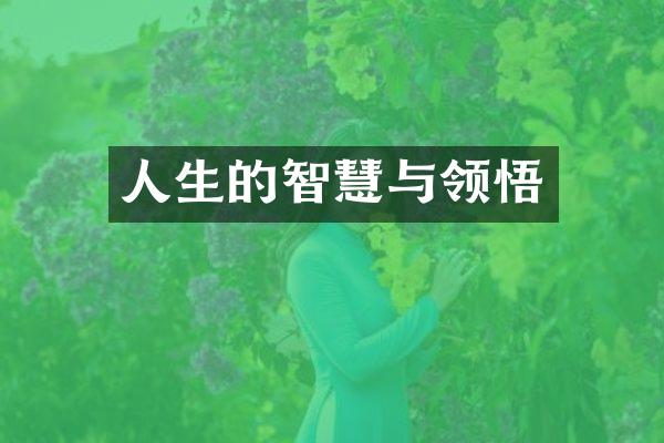 人生的智慧与领悟