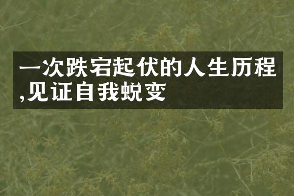 一次跌宕起伏的人生,见证自我蜕变
