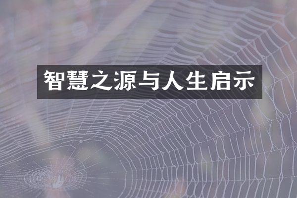 智慧之源与人生启示