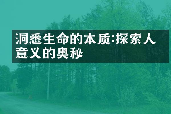 洞悉生命的本质:探索人生意义的奥秘