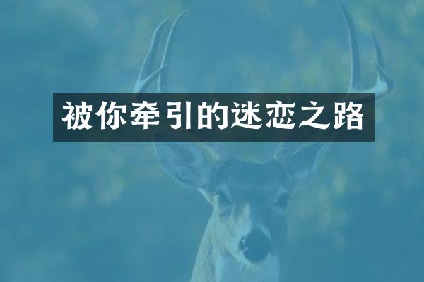被你牵引的迷恋之路