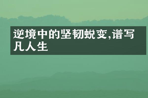 逆境中的坚韧蜕变,谱写不凡人生