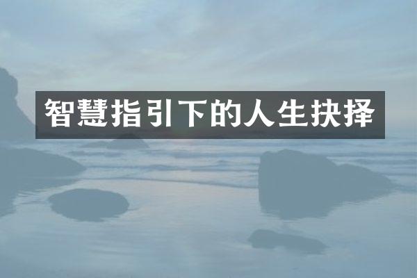 智慧指引下的人生抉择